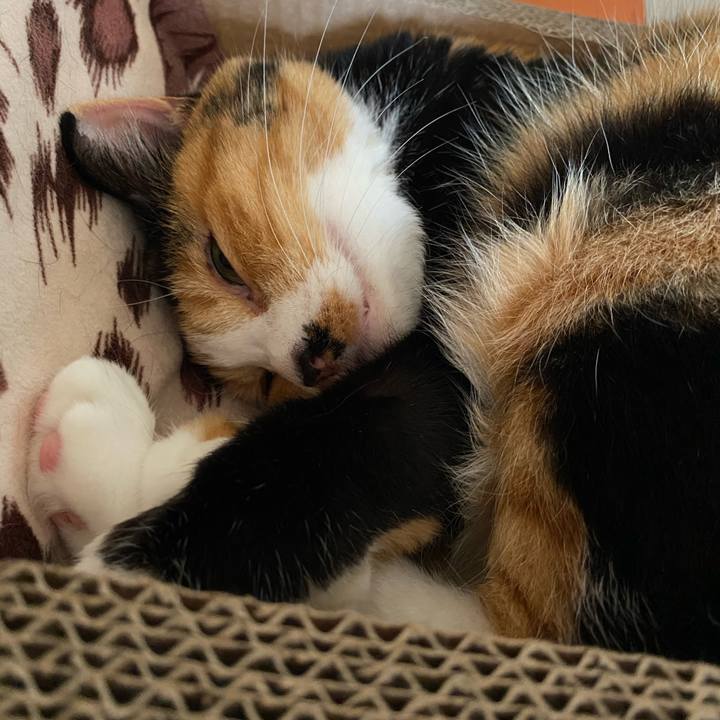 Db15a689 c2d8 46dc b6df 85e105e5b6b4 1650196175050