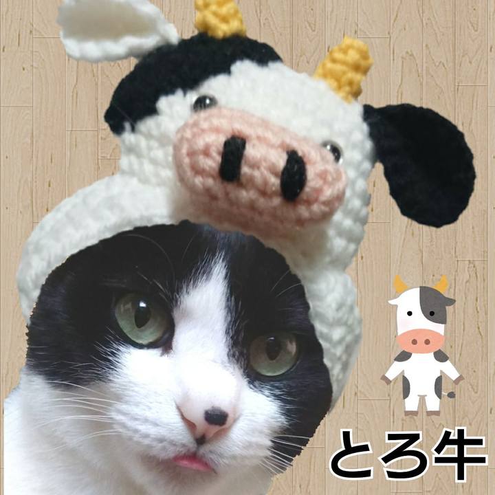 Db15b7b0 2c88 4468 8973 0c1ba03d3cc4 1609681035604