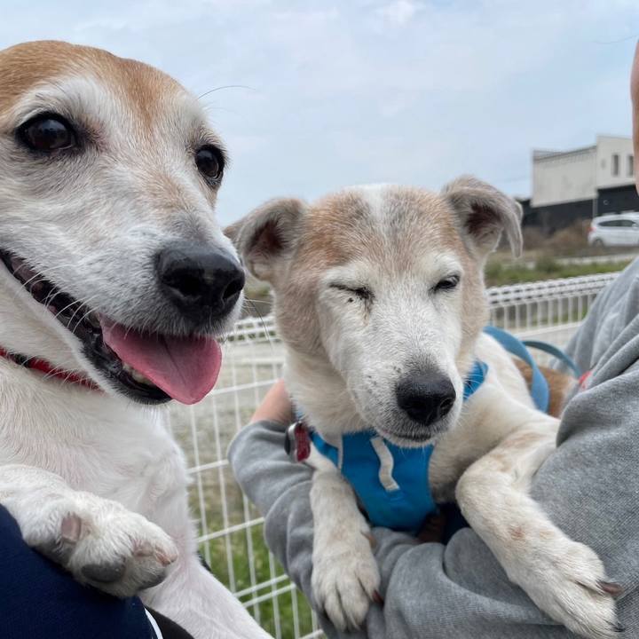 Db15d736 eeb3 4fc0 845b 5daa3513781c 1711888268371