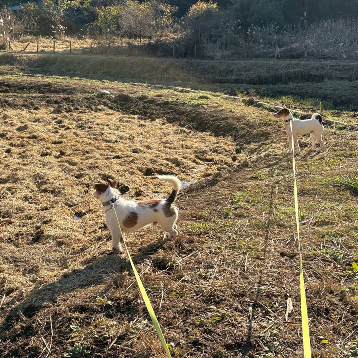 Db15de50 9be9 45d0 8427 c634183851df 1765023997978