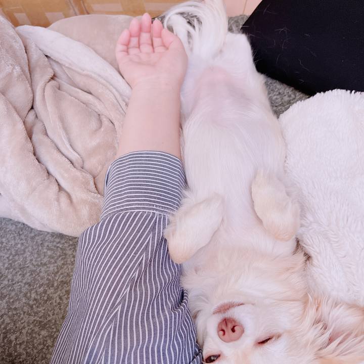 Db15eac3 beaa 4be7 8428 205baed89967 1681973156914