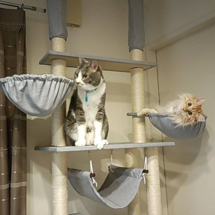 Db16344c d798 4265 bb7e c8aacd99fd57 1655558151494