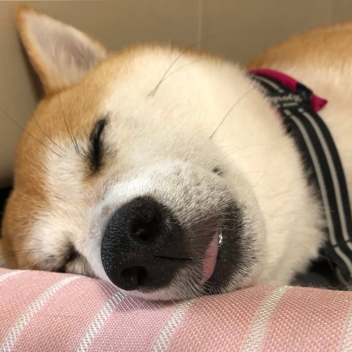 Db165730 3681 41bc a2f3 7e3b3b60d039 1535766426130