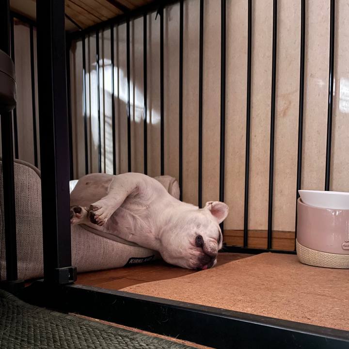 Db166f63 c0cd 4c86 9170 7ed49455e06c 1755475433085