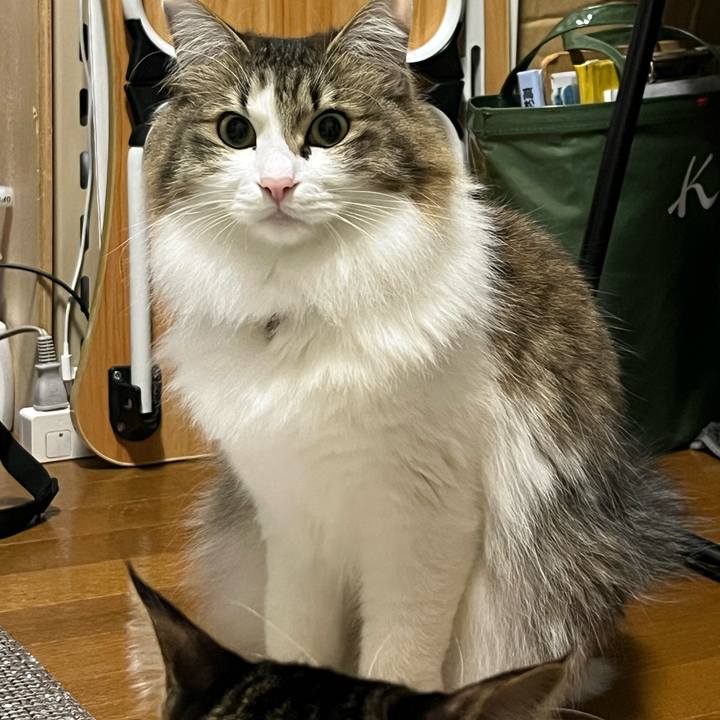 Db16c11b a62c 4338 b2e0 1435fad92871 1772583376829