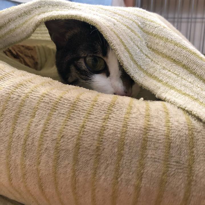 Db16d5cc d434 42c8 9887 bc23a5515b23 1576198951651