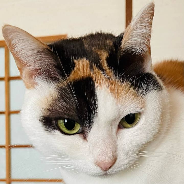 Db16e212 9ebf 455f b9b3 1a9df28eb14e 1644632779468