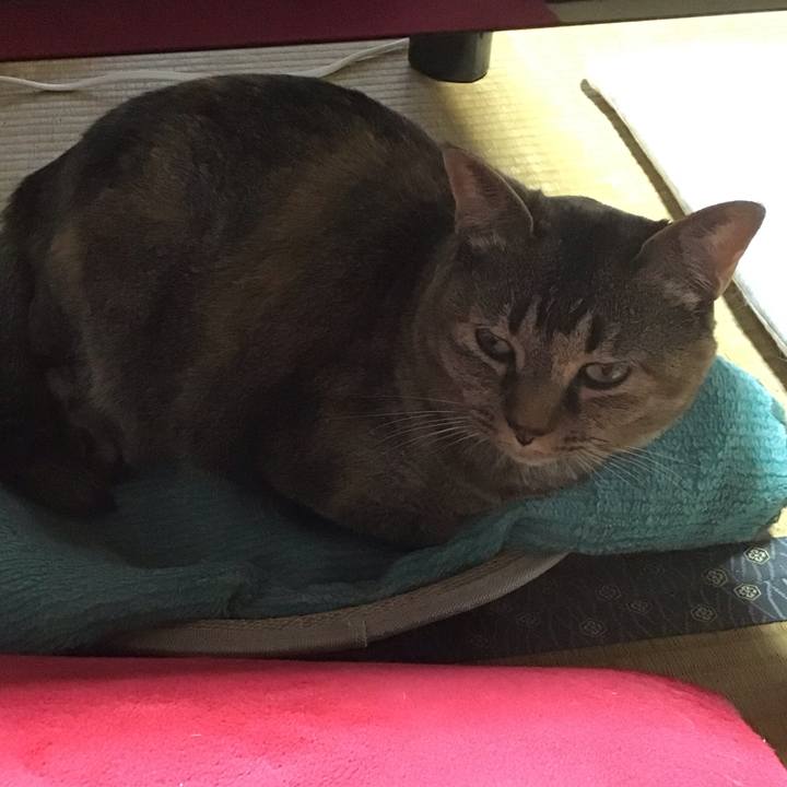 Db170028 14fa 4c2f b54d 5bf40f802747 1751026587162