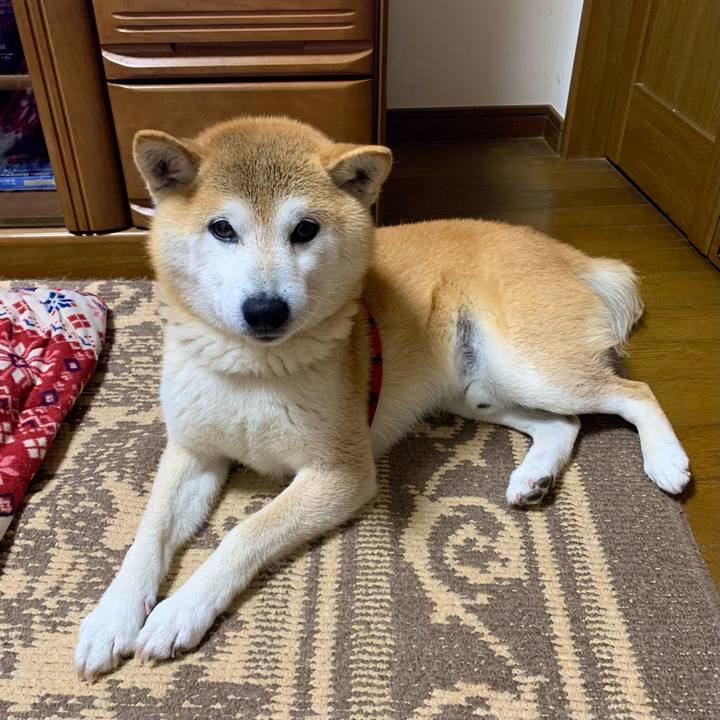 Db170e5d 7aeb 4a55 877a 56d5175d516c 1680864713250