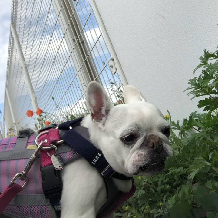 Db173547 50e4 411f b243 a8fb5106dfed 1617524181606