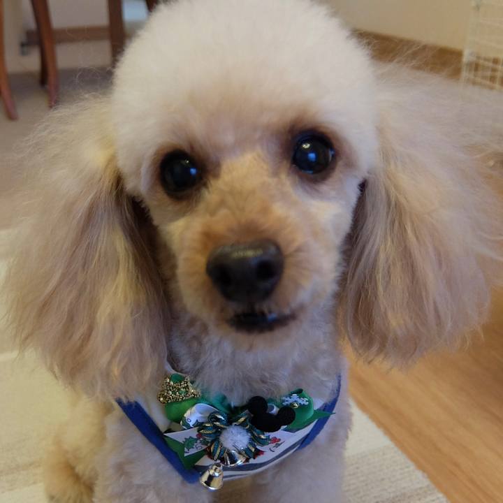 Db177237 6f1c 4b4e afca b26b2ddaa476 1639816017422