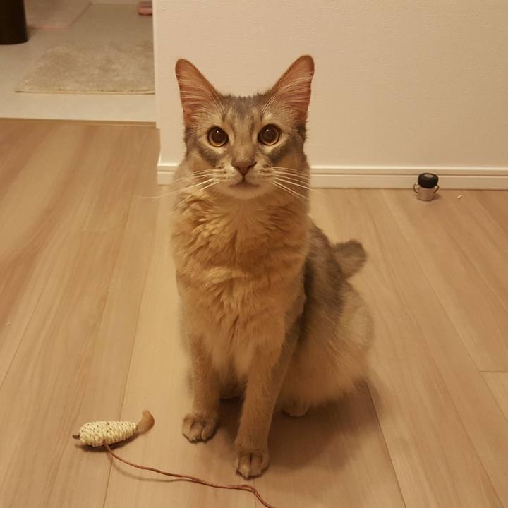 Db1783a4 08b6 4322 8066 7796424dffc0 1591140204727