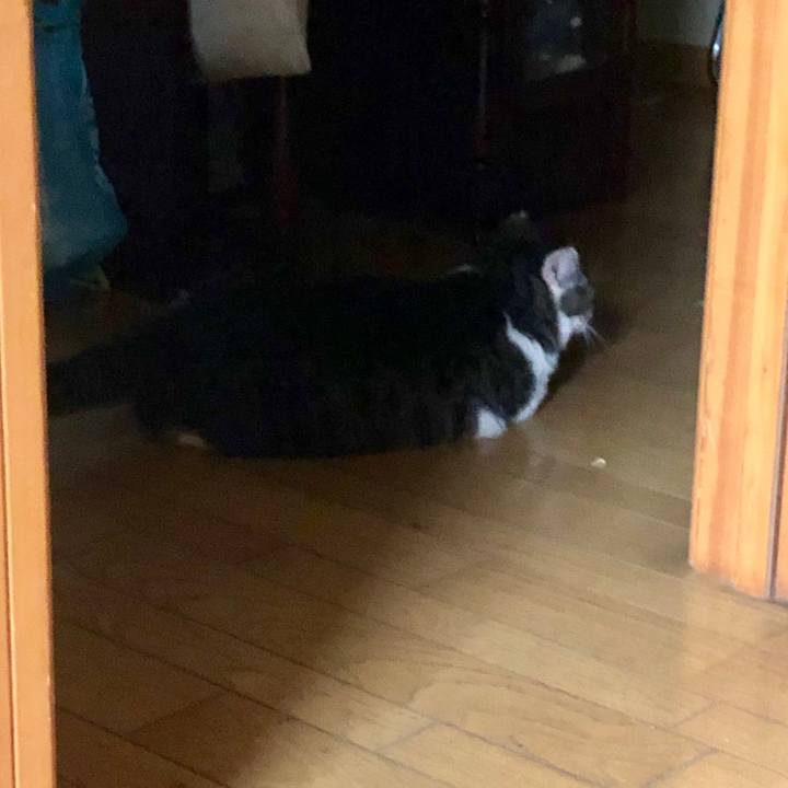 Db17902f ca8b 4e5f 9c5b cc009edfb453 1563538574526