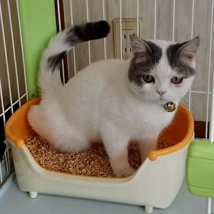 Db17a4cd c038 43d4 beda c20cc58bbd62 1545264220618