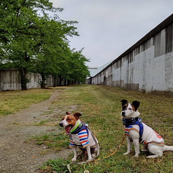 Db17bd6a da88 4675 a4c7 8006e0beddb4 1623713822889