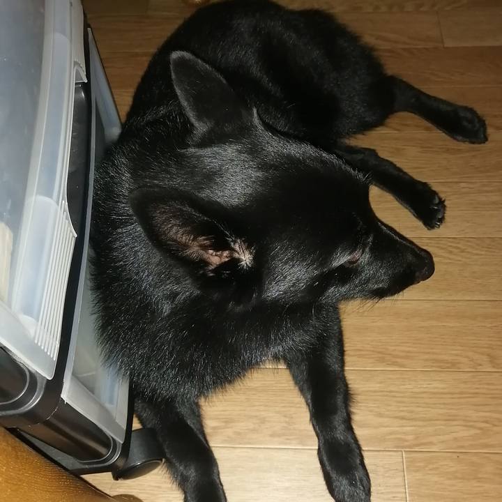 Db17d2f4 acd0 4a94 bf93 7ae954a66435 1627336587721