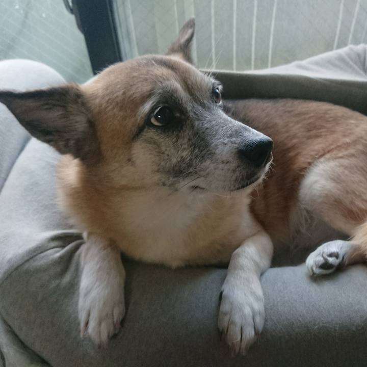 Db17ed85 e907 4ab7 94fb 0ed8d664165d 1510377730784