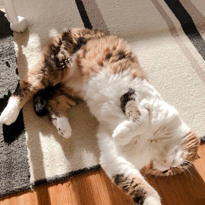 Db17ff49 1dc4 4373 9fee 969e6a1da366 1564092601326