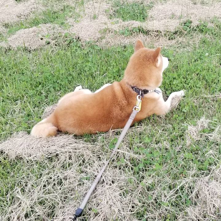 Db182750 a062 4fdb aeb1 5550cf8a116e 1631778003328