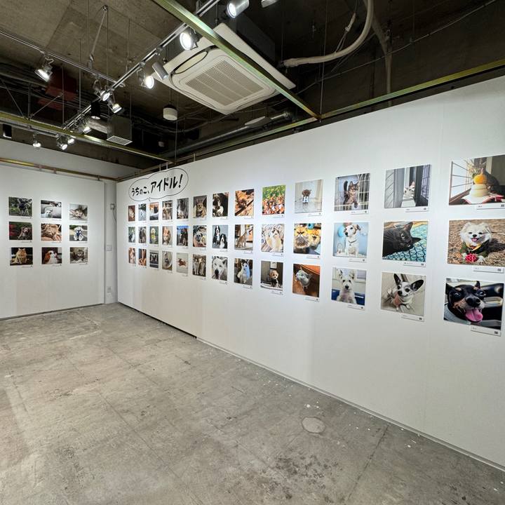 Db182979 ac57 4228 919b 2dd5c2808d5a 1761140750691