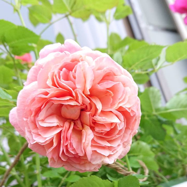 Db189332 af35 44ad b522 df712f4423b1 1653348797520