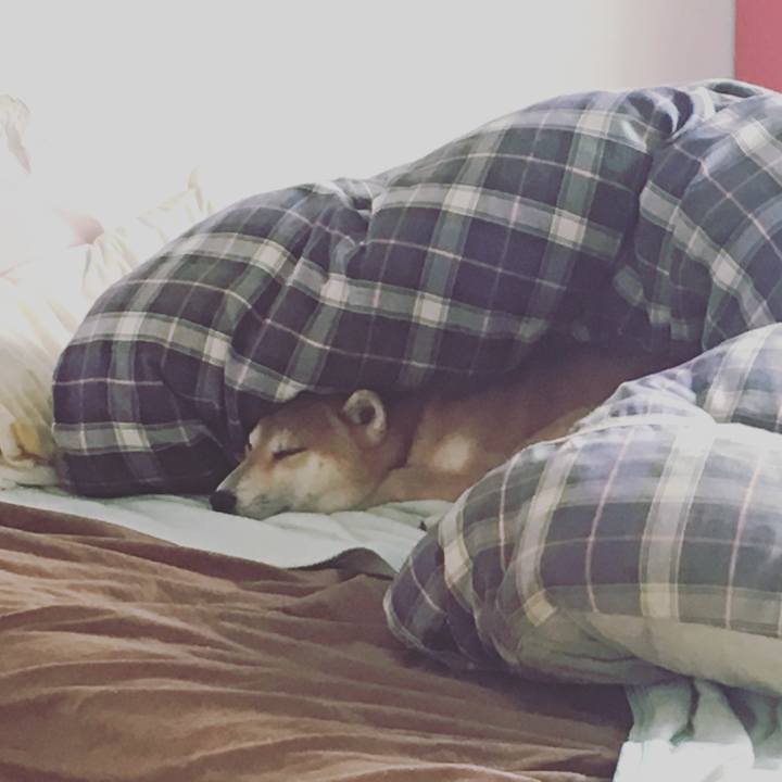 Db18add8 958f 43e5 bcf0 7476b7c62e15 1538911886786