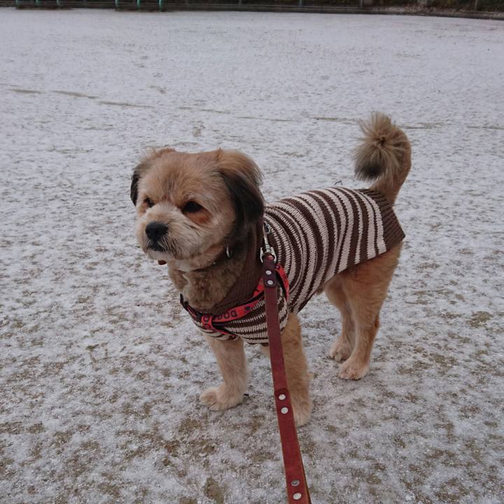 Db18d903 dda4 42f2 8bf8 00e918360f34 1517962813430