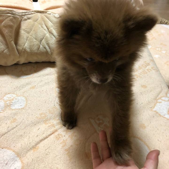 Db190c5d 4961 41f5 abe8 a1e1bf434e5b 1541295781799