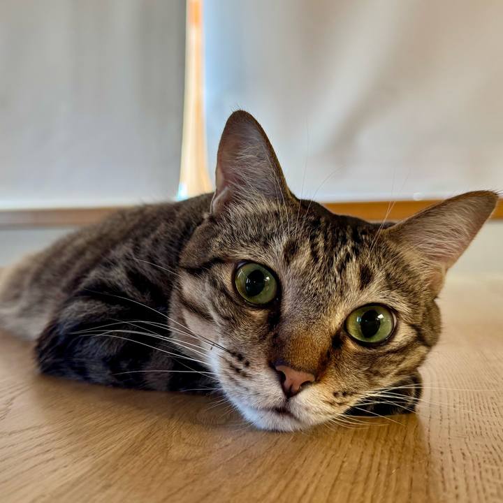 Db190d98 2ea6 45e9 95b2 195f5532ae18 1759063267906