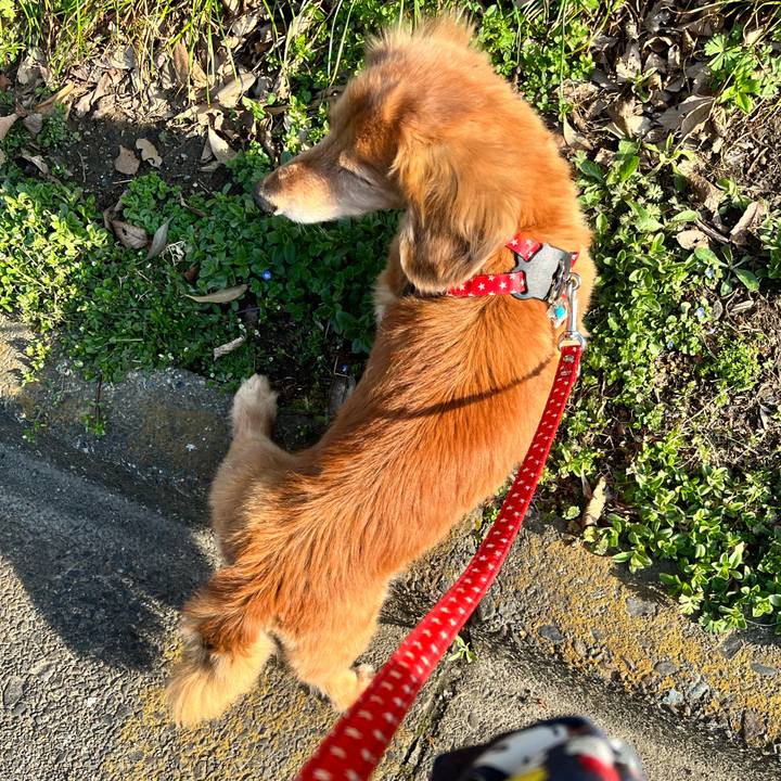 Db193029 324d 4059 bf9e 10663f1c3a60 1648117197321