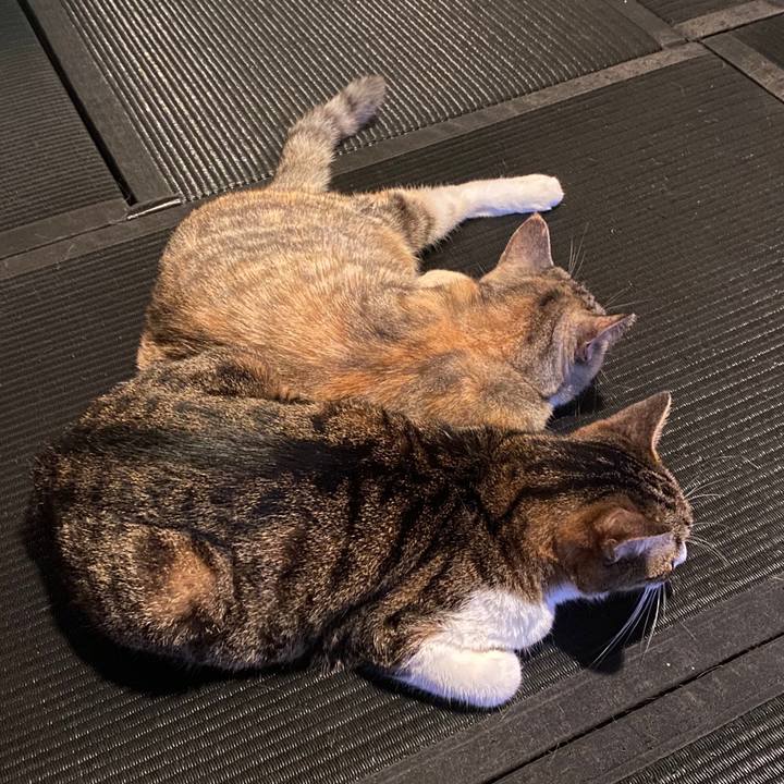 Db19a39c 15ff 4de6 a74f 01885fb31c62 1593218960524