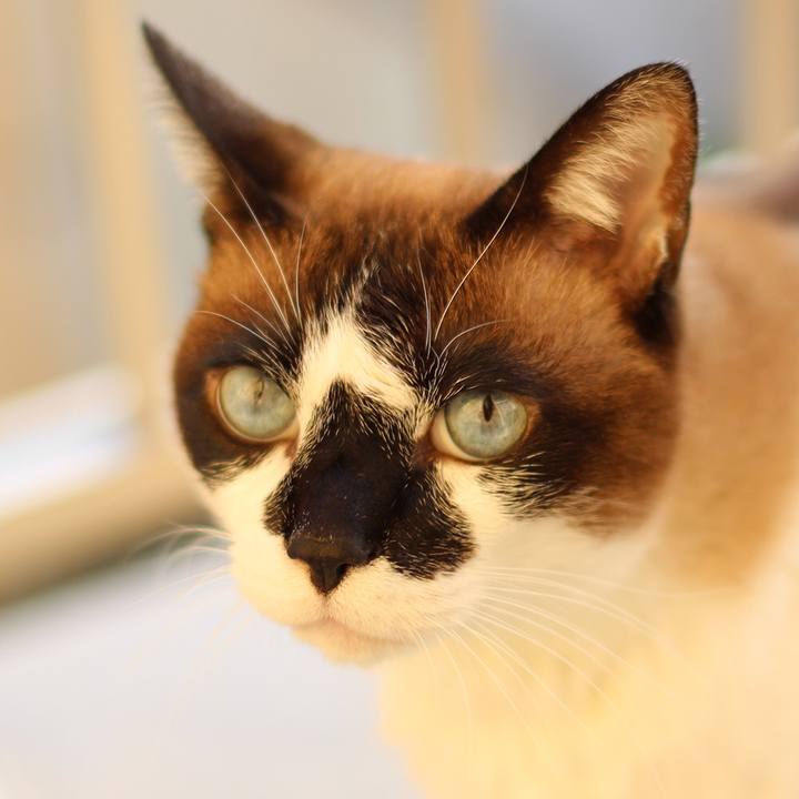 Db19c44f ee26 43fe b0de 286459577996 1515249654700