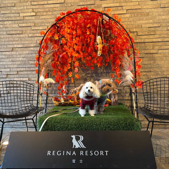 Db19d362 0fec 4a29 858e 9ce52a78cdb3 1765274257416