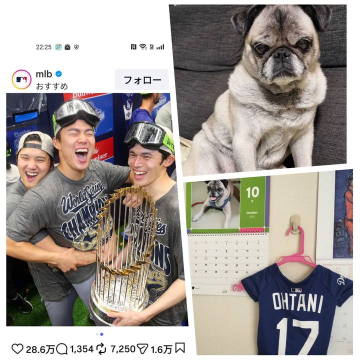 Db19f8b1 ffcd 486a a1c3 7eeb9398313b 1762140945435