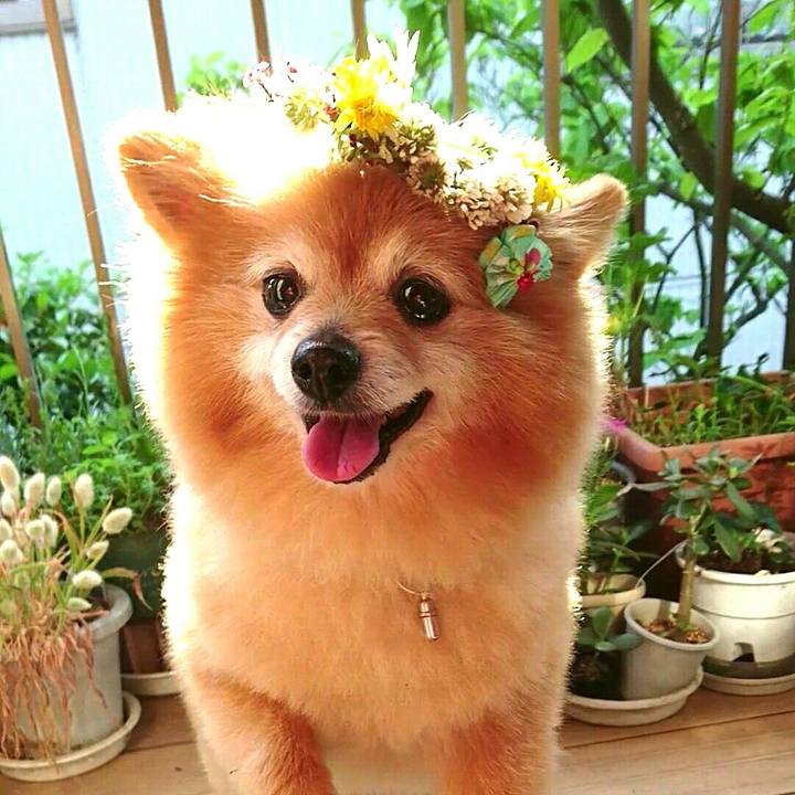 Db1aadab 06b2 4009 93d5 45c61715dff8 1519380226977