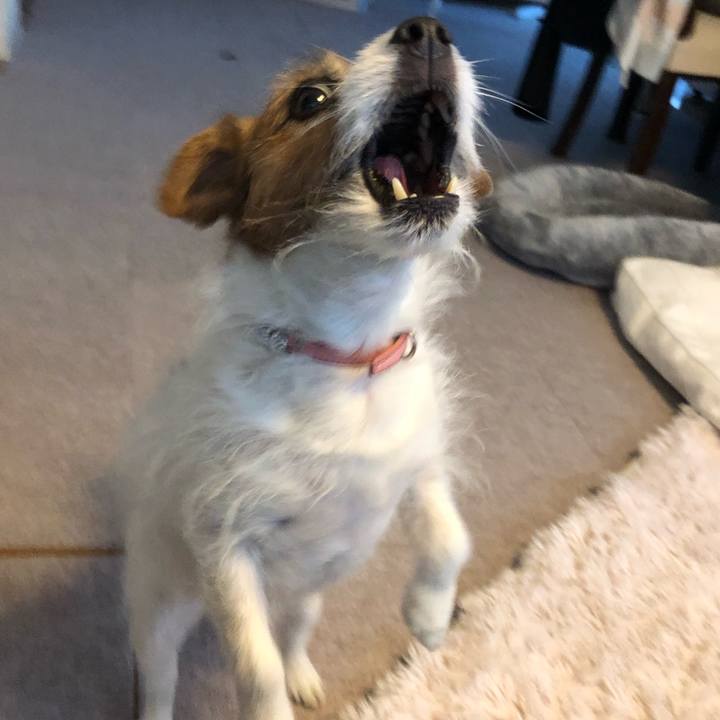 Db1ace93 46f1 46bf 8f47 31542e9158b7 1611741574284