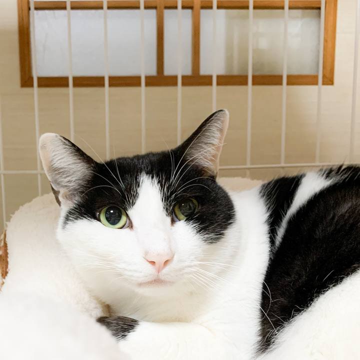 Db1af424 01b4 472e 9689 bf2d0bc35f75 1575338575106