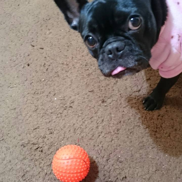 Db1af5d6 5e50 4449 a307 f3db7786cdea 1516108292018