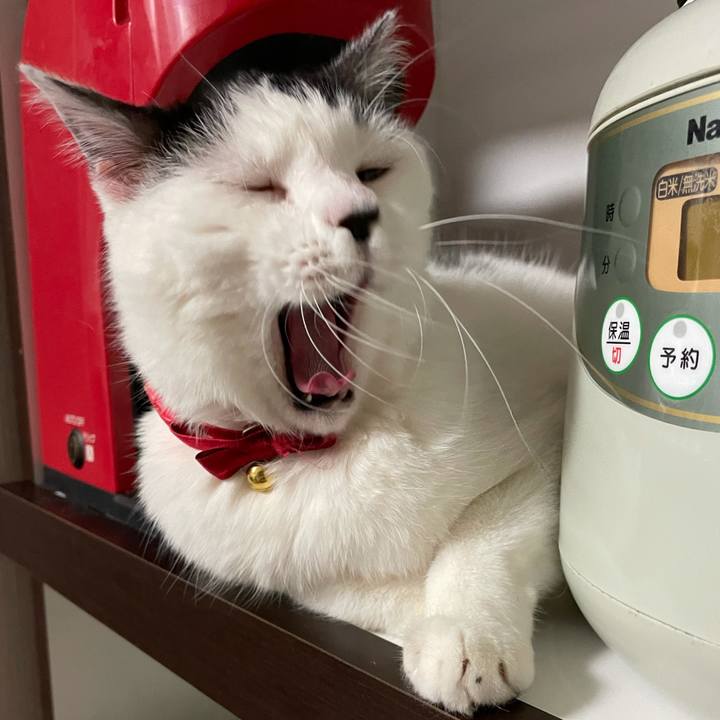 Db1af917 e5b5 4e63 92db a24a64243612 1616027649624