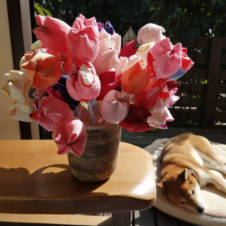 Db1b079d 4d51 4d8f a14a 4808c96e3d34 1678165176193