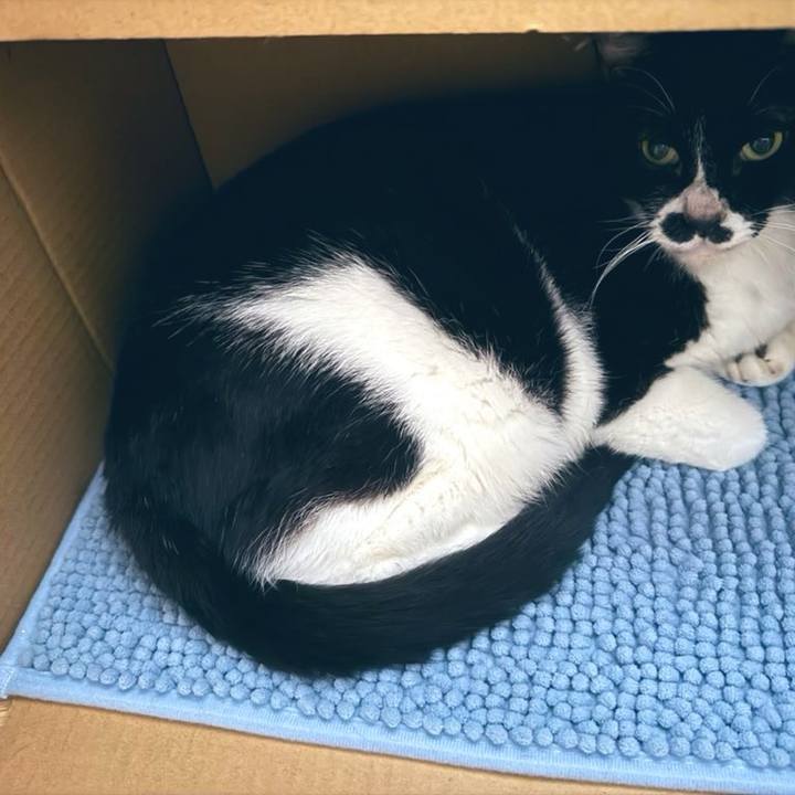 Db1b15b5 7366 470c 870f a3b6395aae7c 1721041397453