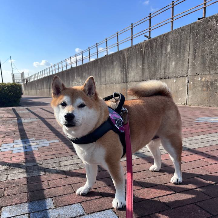 Db1b1d4e 27d0 49e8 aec2 17e1a90fd070 1707544550975