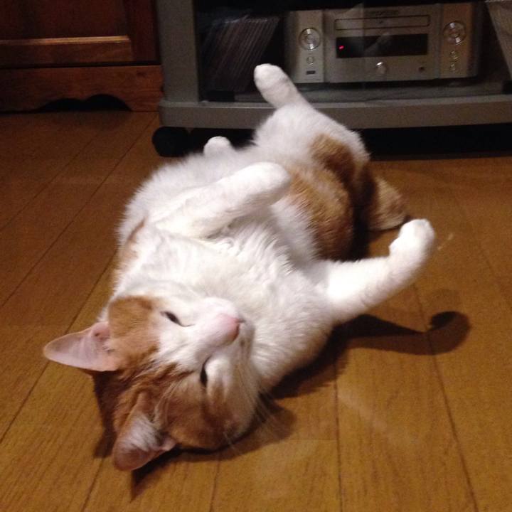 Db1b301e b096 472a bb2e e4131ddb7f0f 1517571063208