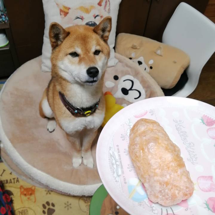 Db1b3173 54ae 4b4d 844f 3fccb9b972c4 1587542061480