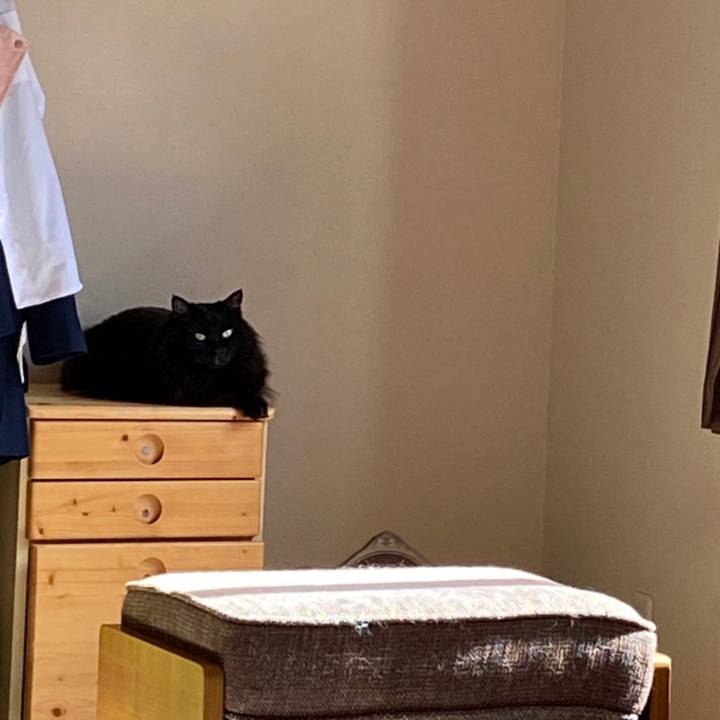 Db1b3a95 1801 4416 9818 f8011482dbf5 1651794450168