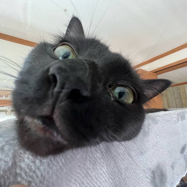 Db1b410c 1f8e 4196 904b 62c5ec8eb117 1689923329999