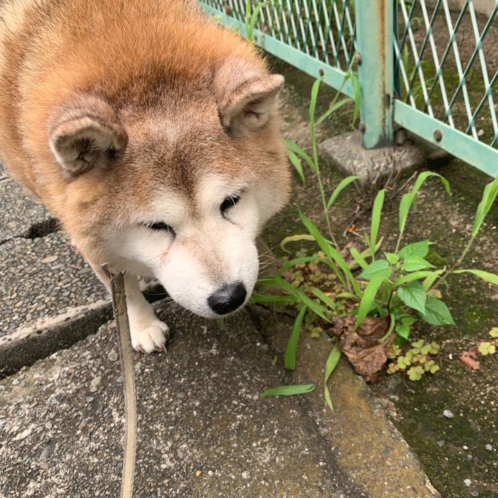 Db1b4686 1636 42eb 8eb0 2184dd91fb2c 1625974380247