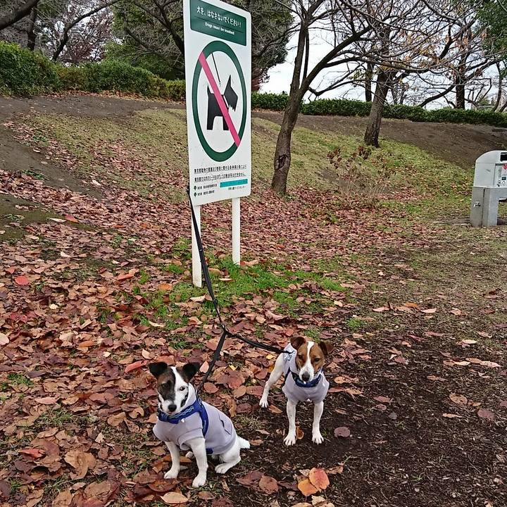 Db1b4fea ed0f 4a62 a82f 1dbd81e14457 1544595054421