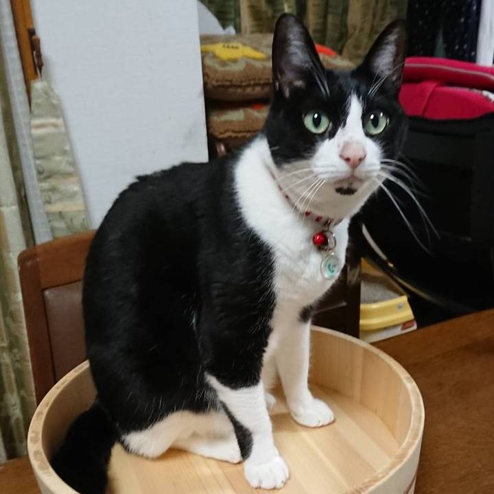 Db1b55f4 edee 487d 9c8b 369fd839d07e 1673656786097