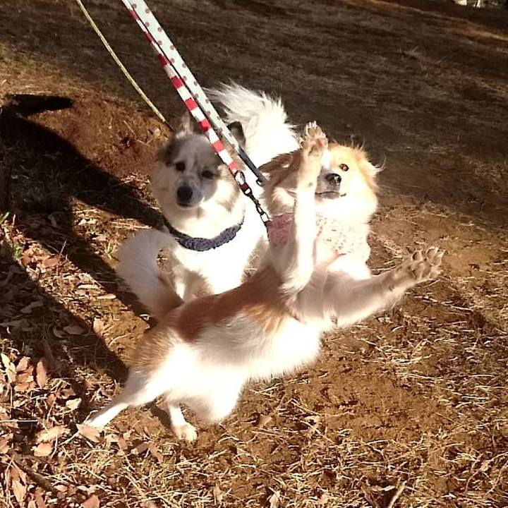 Db1b5708 e3c0 4976 bcae 04bcf4948b37 1519132841793